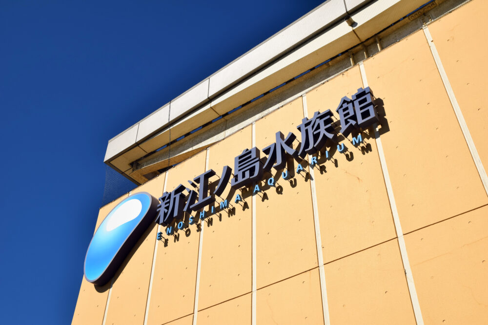 新江ノ島水族館 | サムネイル画像